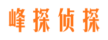 旌德找人公司